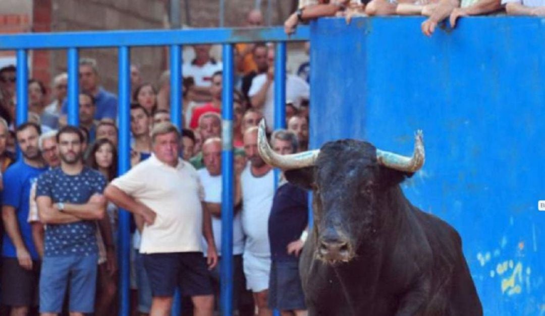 Imagen de acto de &quot;bous al carrer&quot;