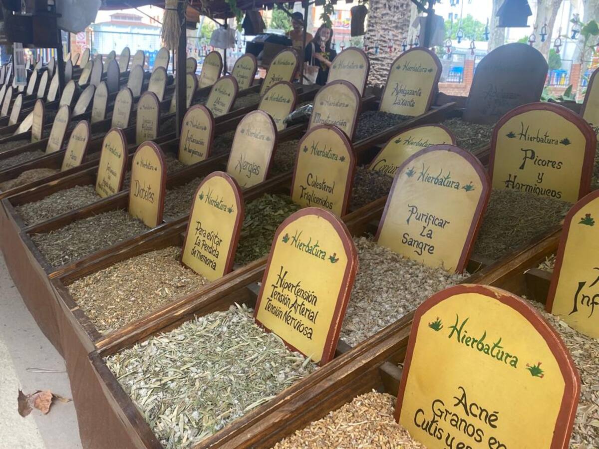 Algeciras entremares te espera en el Parque María Cristina