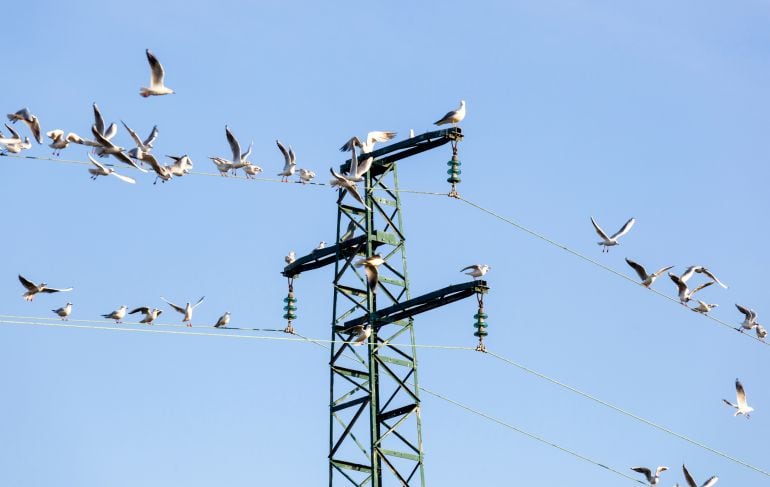 Torres eléctricas