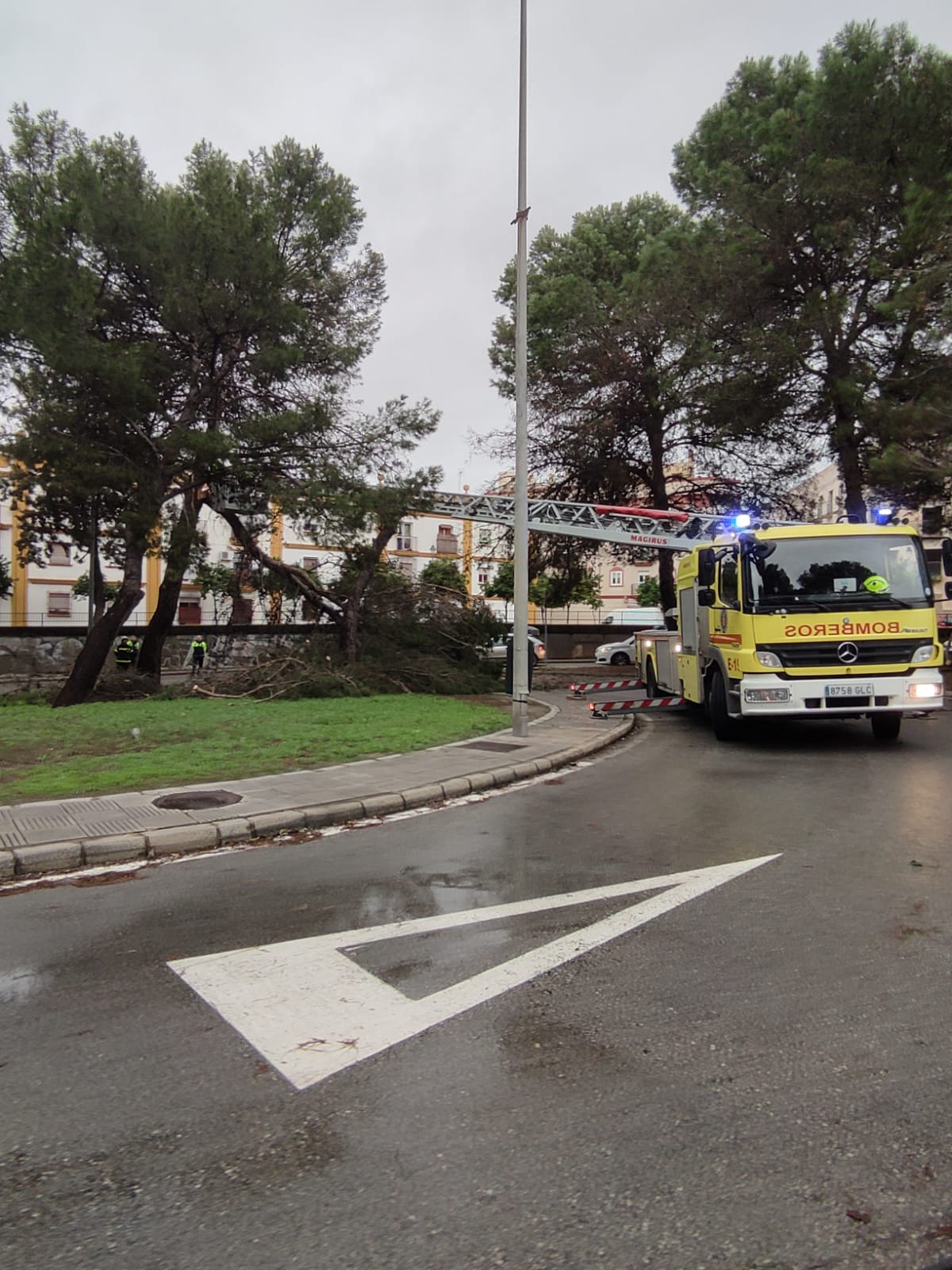Los bomberos durante la intervención este martes en Jerez