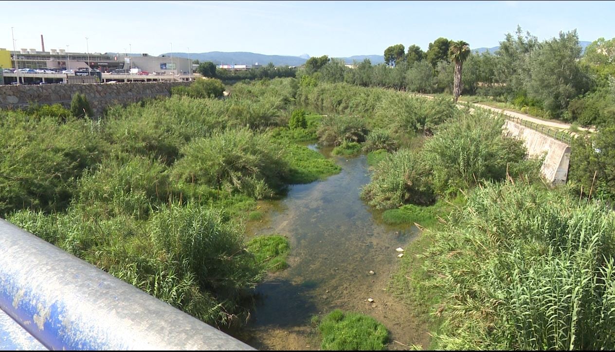 El río Serpis a su paso por Gandia este jueves 15 de junio.