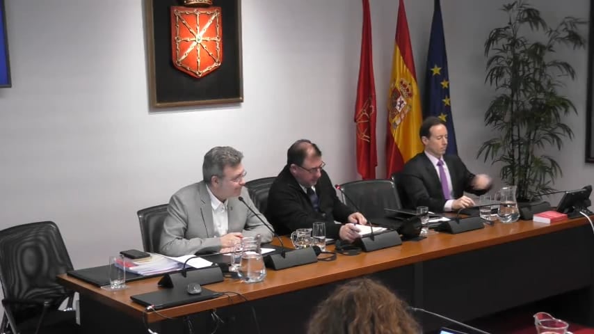 El Defensor del Pueblo Patxi Vera (izda.), en un momento de su comparecencia ante la ponencia parlamentaria sobre la Lorafna.
