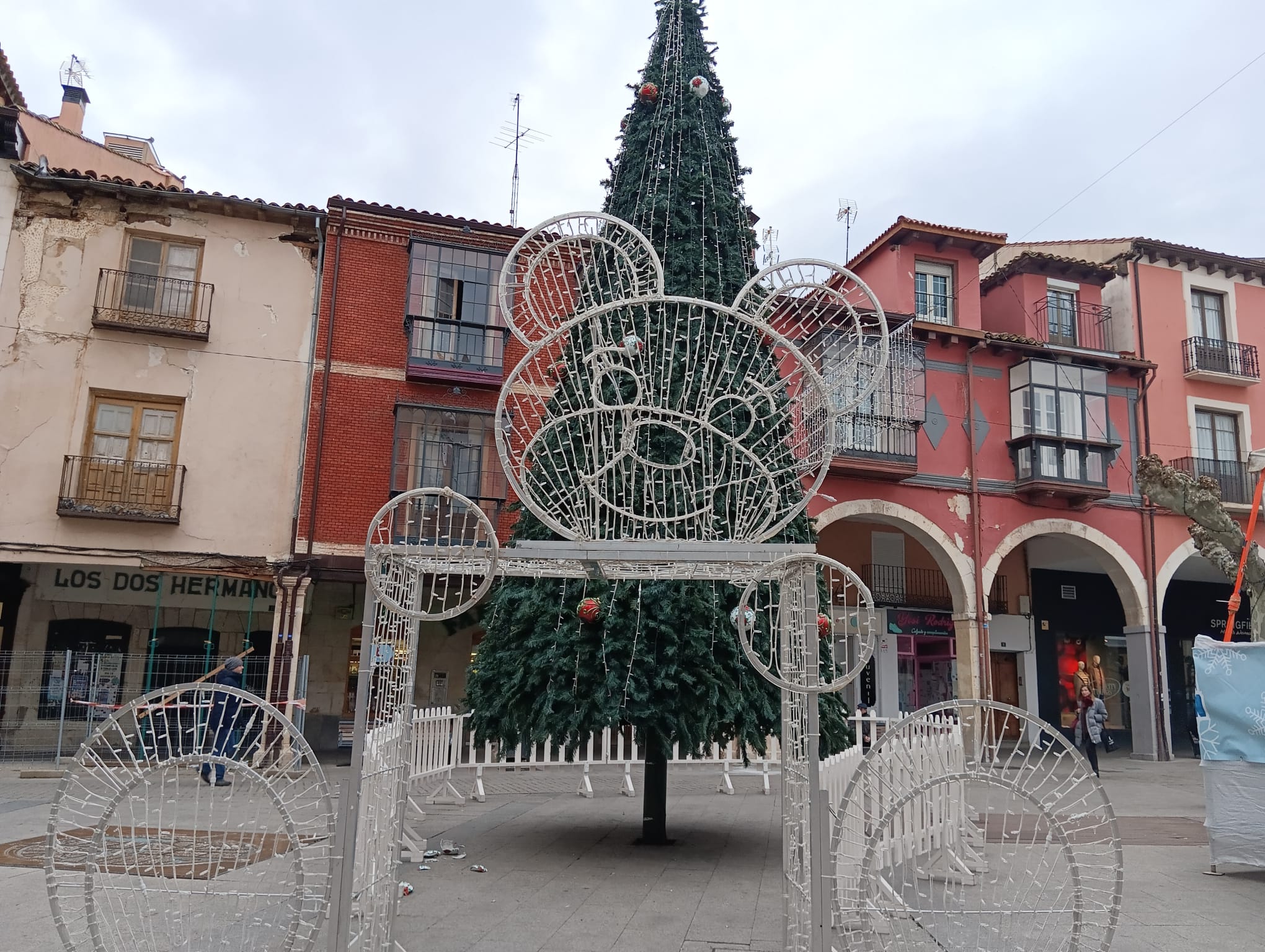 El árbol de la Plaza Mayor presidirá la inauguración de la Navidad el viernes 19