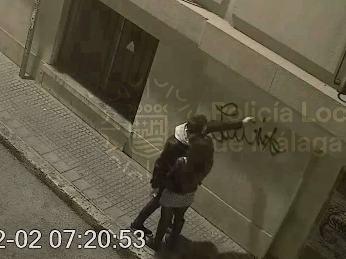 Rastreo de redes y cámaras de videovigilancia para 'cazar' a los 36 autores de pintadas ilegales