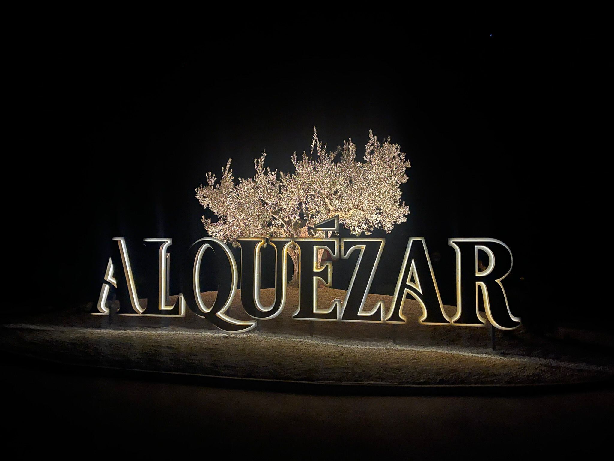 Letras corpóreas, olivo e iluminación en al entrada a Alquézar. Foto: Ayuntamiento de Alquézar
