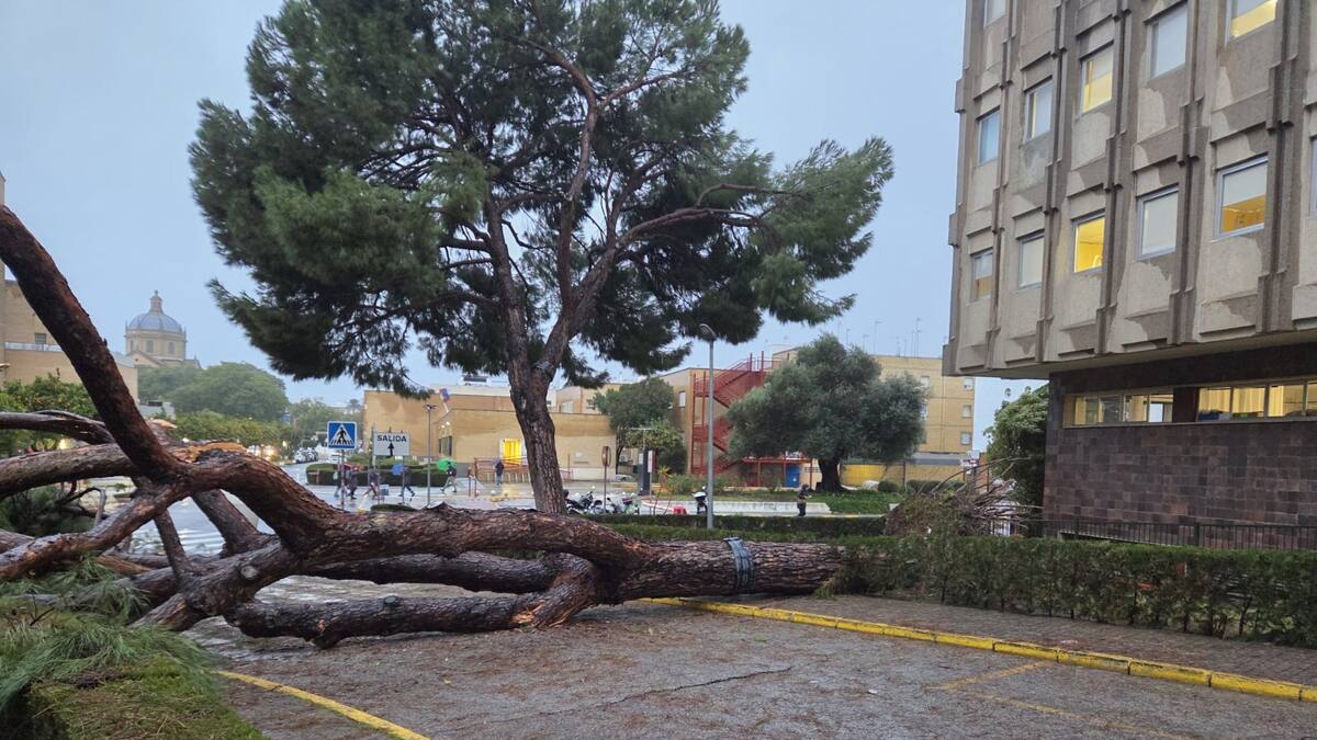 La Junta cifra en 14 millones los daños en centros sanitarios andaluces por el temporal
