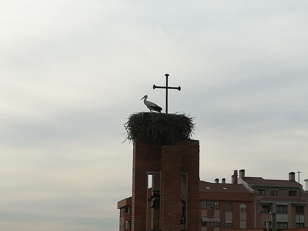 Nido de cigüeña de la torre del edificio de las Francesas