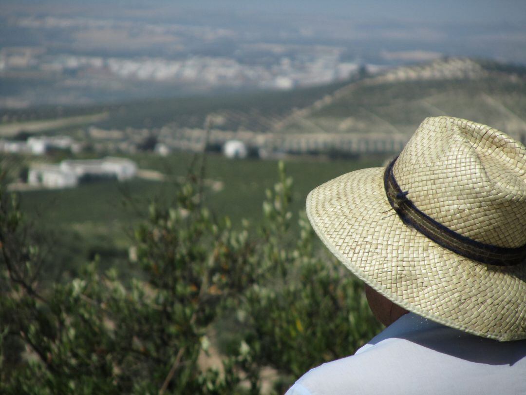 Agricultor en la campiña cordobesa 