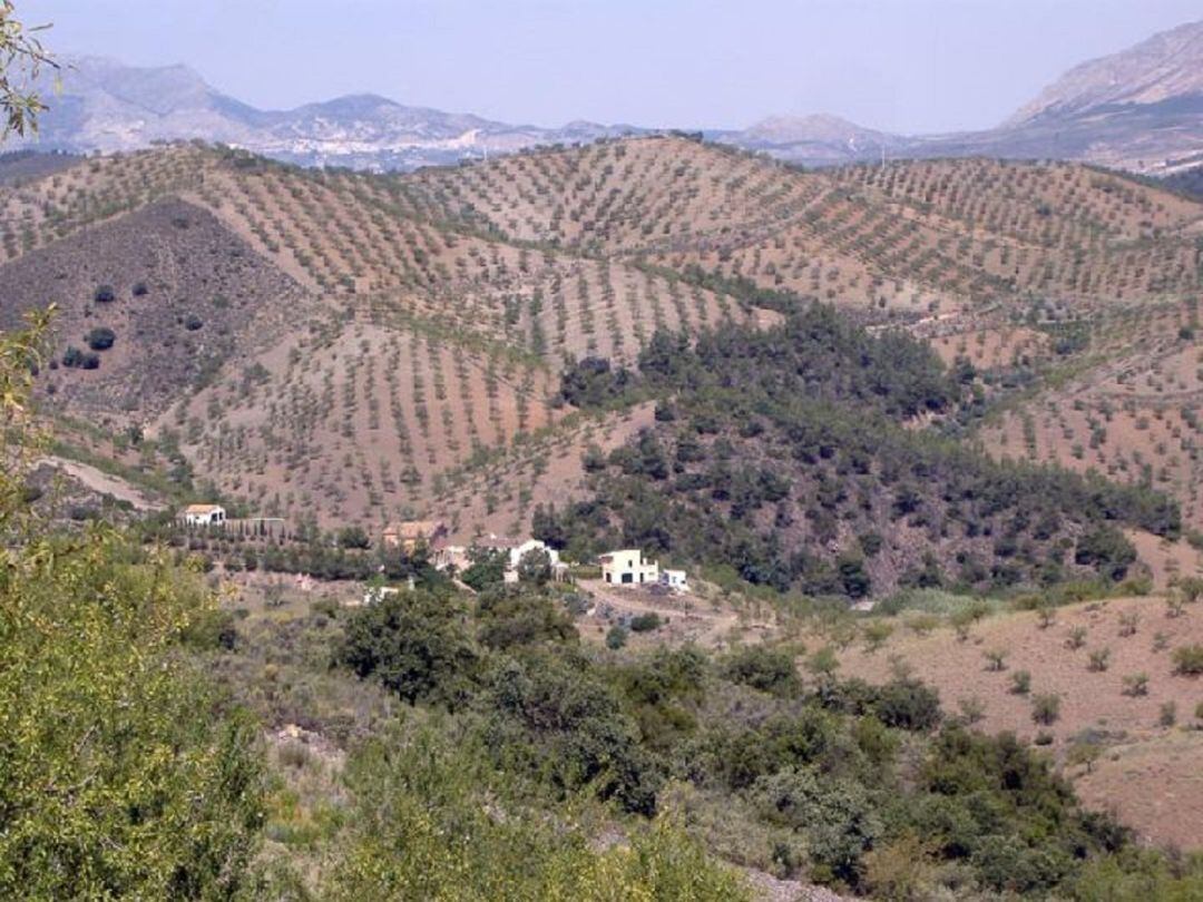 Pedanía lorquina de Jarales.