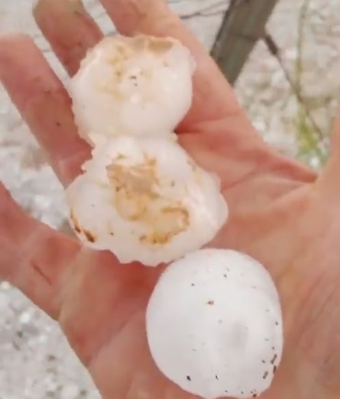 El granizo arrasa &quot;cientos de hectáreas de viñedos&quot; en Requena.