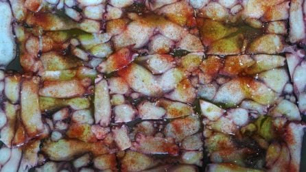 Carpaccio de Pulpo