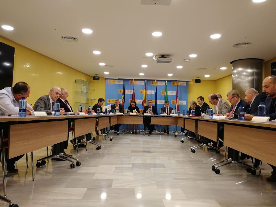 La Junta de Gobierno de la CHS durante la reunión en la que pidieron la prórroga del decreto