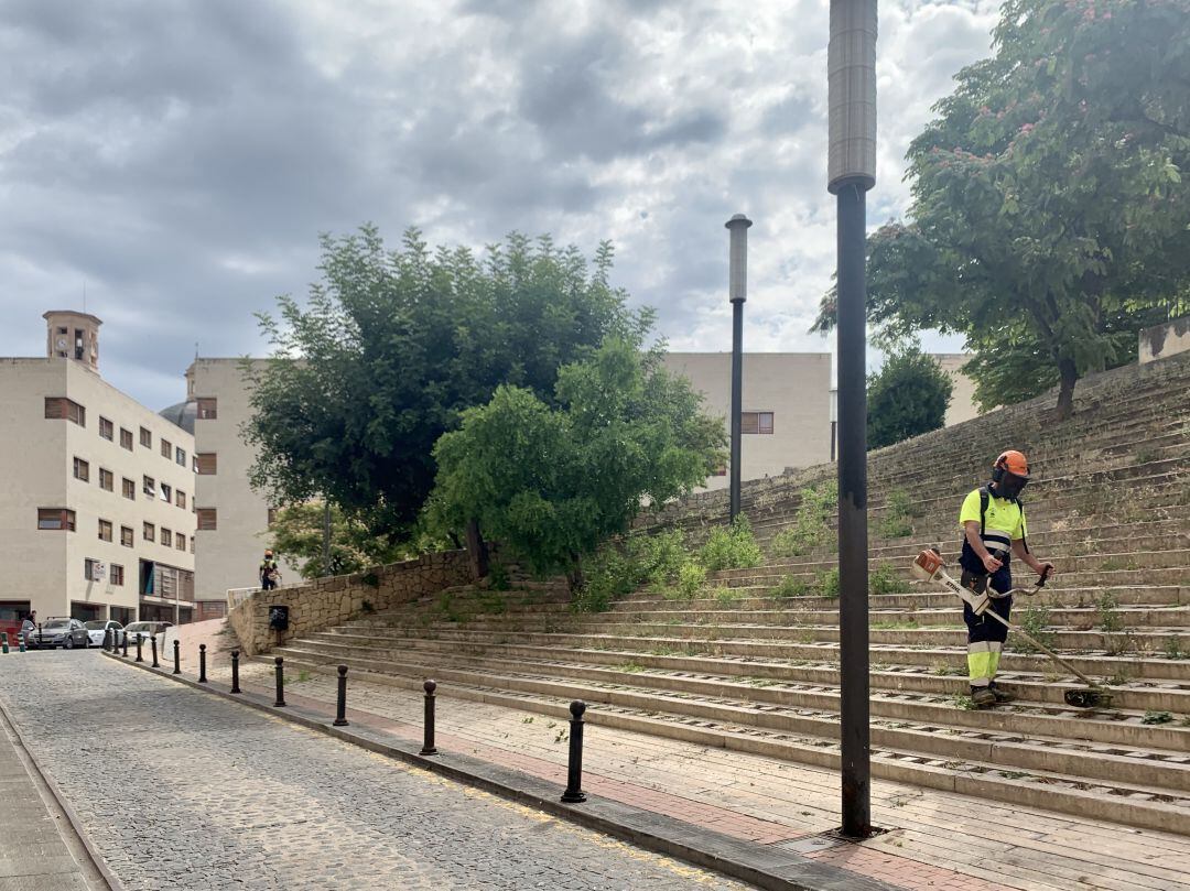Un operario cortando la hierba en los tramos de hormigón situados en la calle Sant Domènec.