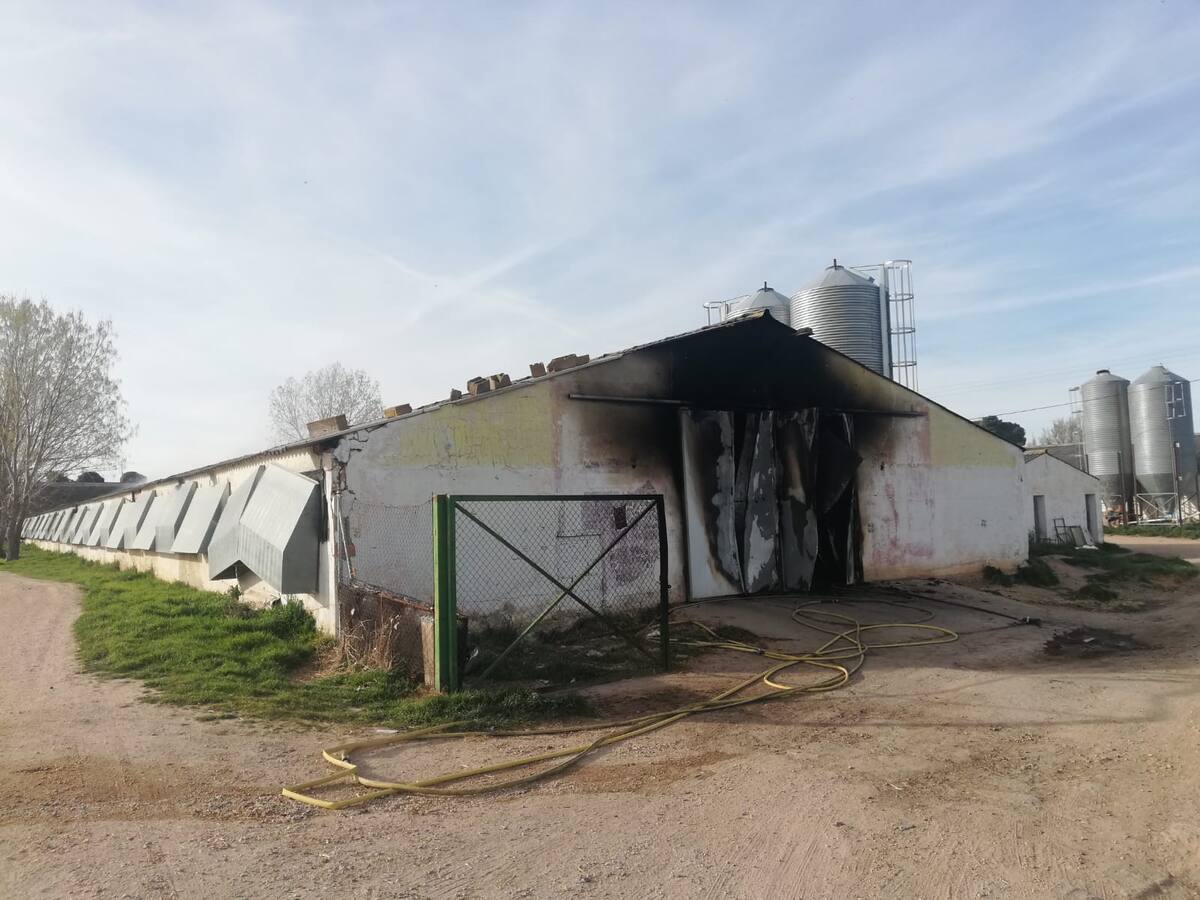 Incendio en una nave avícola de Sinovas