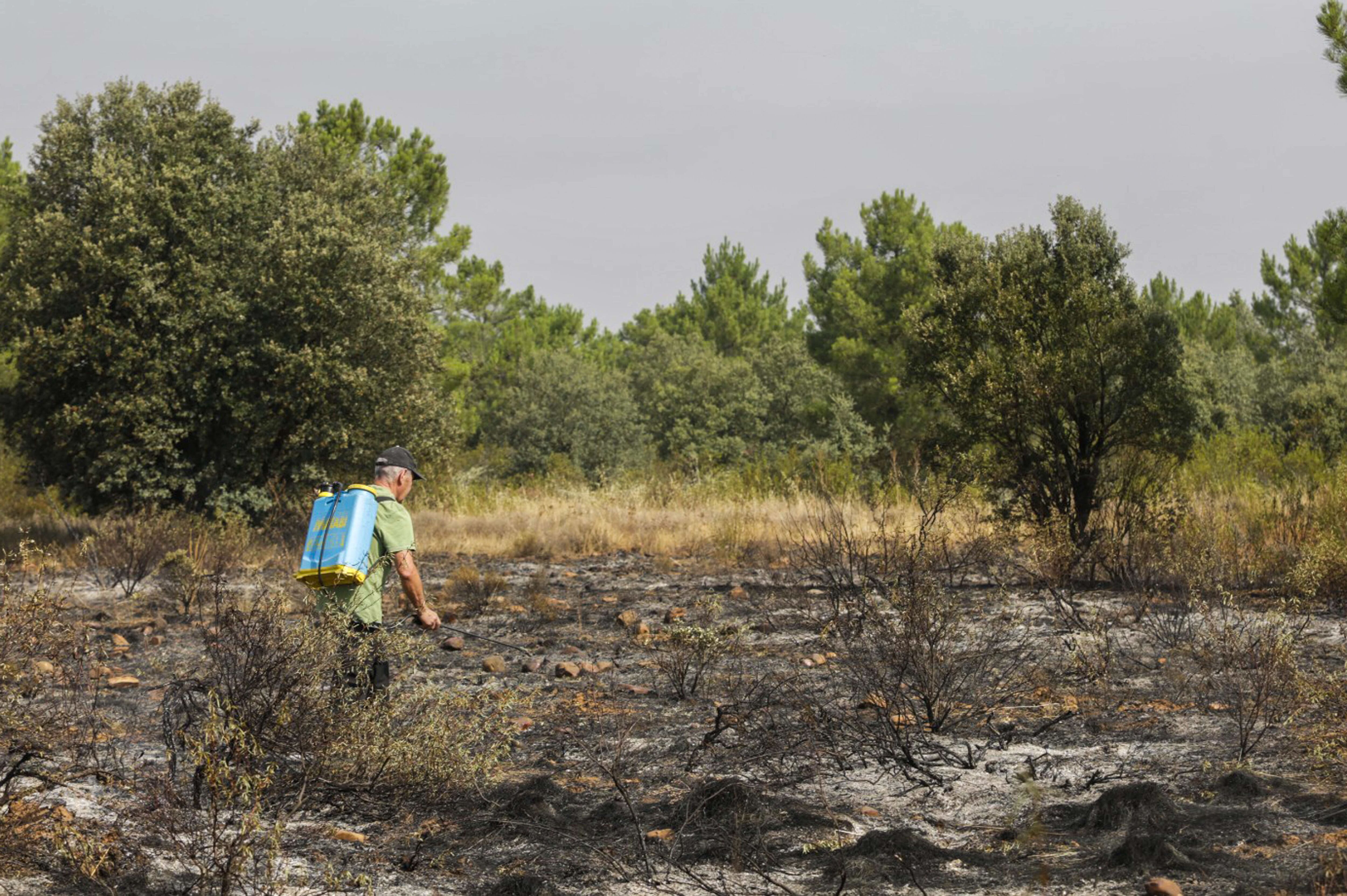 SAN ESTEBAN DE NOGALES (LEON), 12/08/2025 .- Labores de extinción del incendio forestal declarado en San Esteban de Nogales (León). EFE/J.Casares
