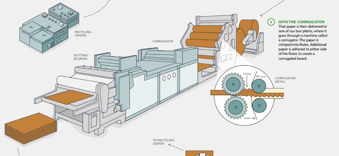 Esquema de producción del cartón ondulado para embalaje