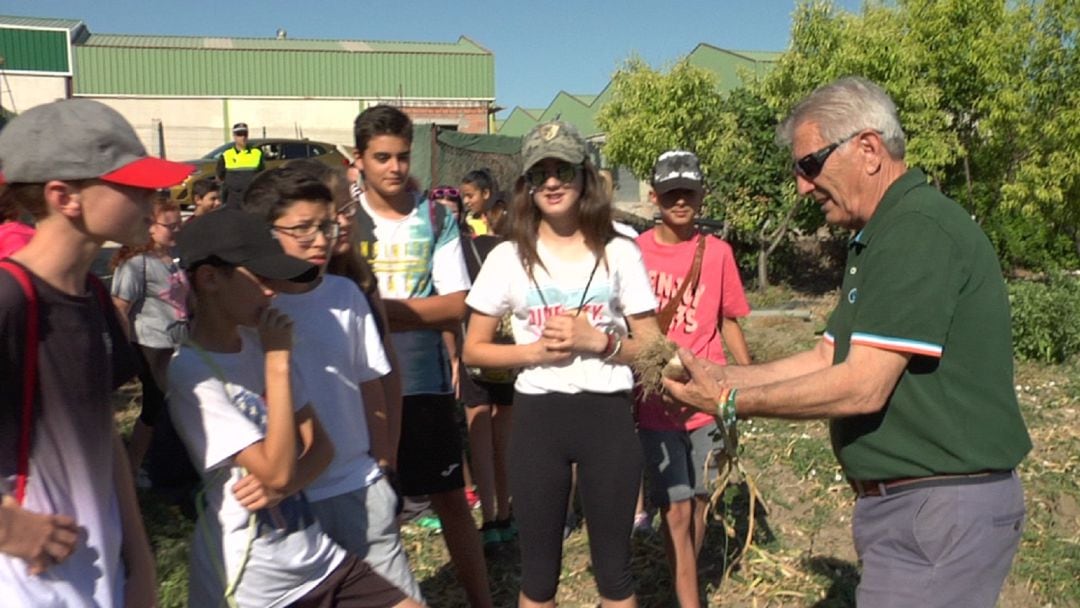 El alcalde Francisco Jimenez junto a los alumnos conocen las practicas agricolas para la recolección del ajo