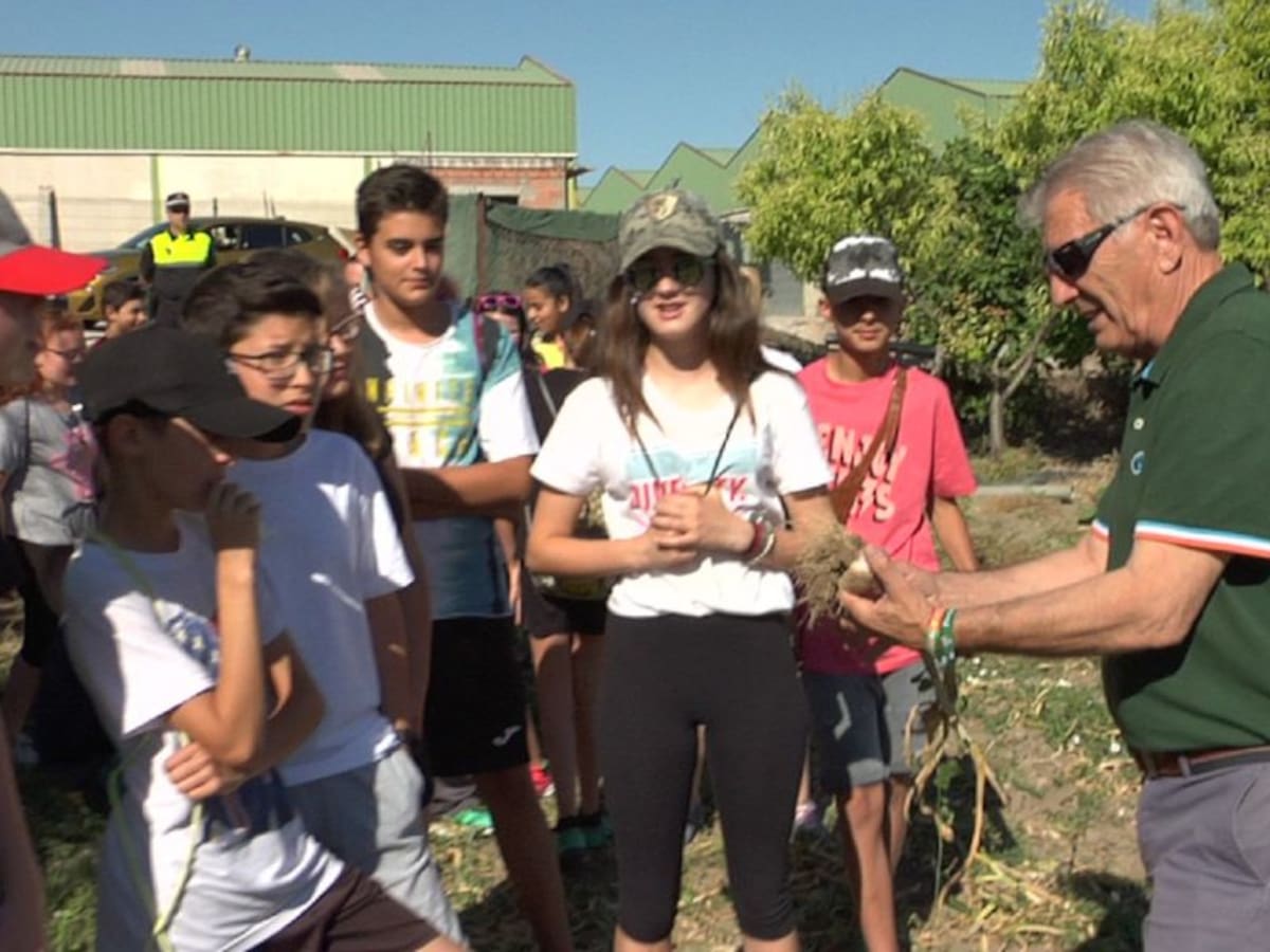 Fiesta del ajo en Santo Tomé en el CEIP Virgen de los Remedios