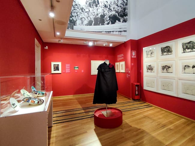 La réplica de la capa en la que fue amortajado el genial artista. La capa está en la Casa Natal