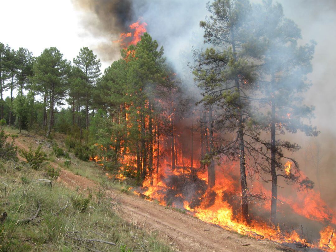 Incendio en Poyatos