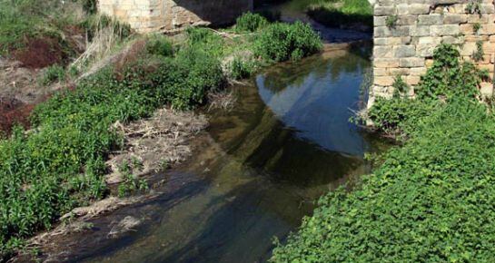 Imatge del riu Francolí.