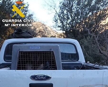 Vehículo interceptado por la Guardia Civil en el que se transportaba el cadáver de un jabalí.