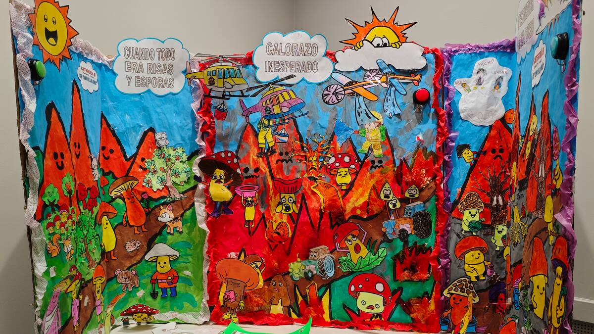 El Consejo Comarcal del Bierzo adjudica a CESEFOR el plan de aprovechamiento micológico