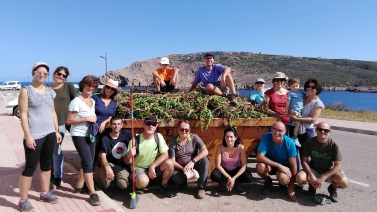 Los voluntarios del GOB arrancan 4,5 metros cúbicos de carpobrotus