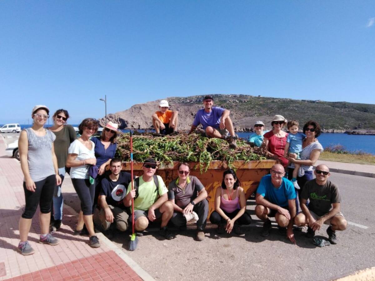 Los voluntarios del GOB arrancan 4,5 metros cúbicos de carpobrotus