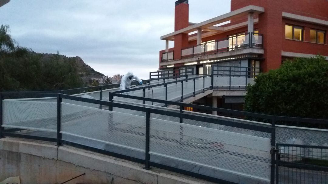 Zoonosis ayuda en la desinfección de residencias