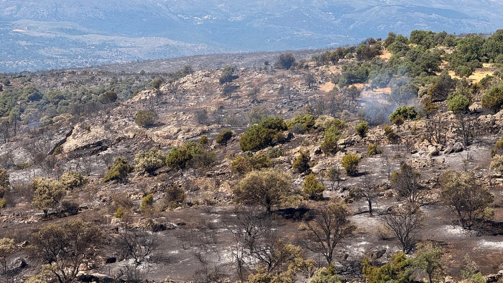 Incendio Navaluenga./Naturaleza JCyL
