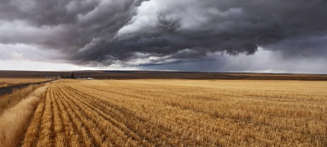 Las lluvias llegan con fuerza al este de Castilla y León y el nordeste peninsular