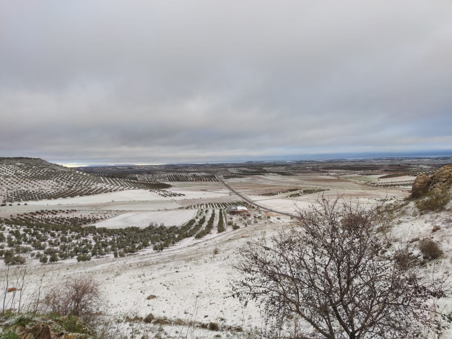 Imagen de un paisaje nevado en Puebla del Príncipe (Ciudad Real)