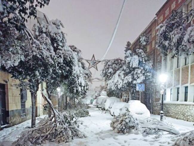 Ramas caídas en la calle Santiago de Alcalá de Henares.