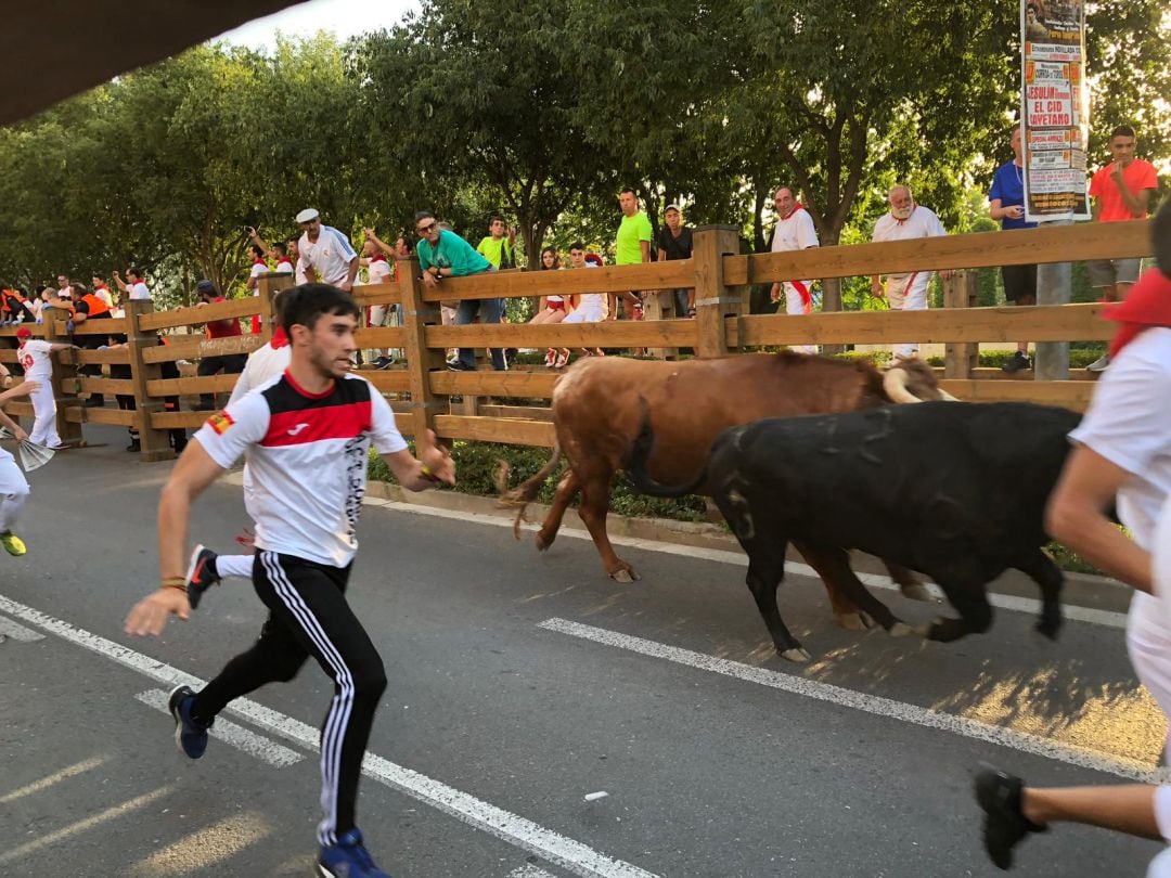 La ganadería de Pincha han protagonizado una carrera rápida sin atenciones graves