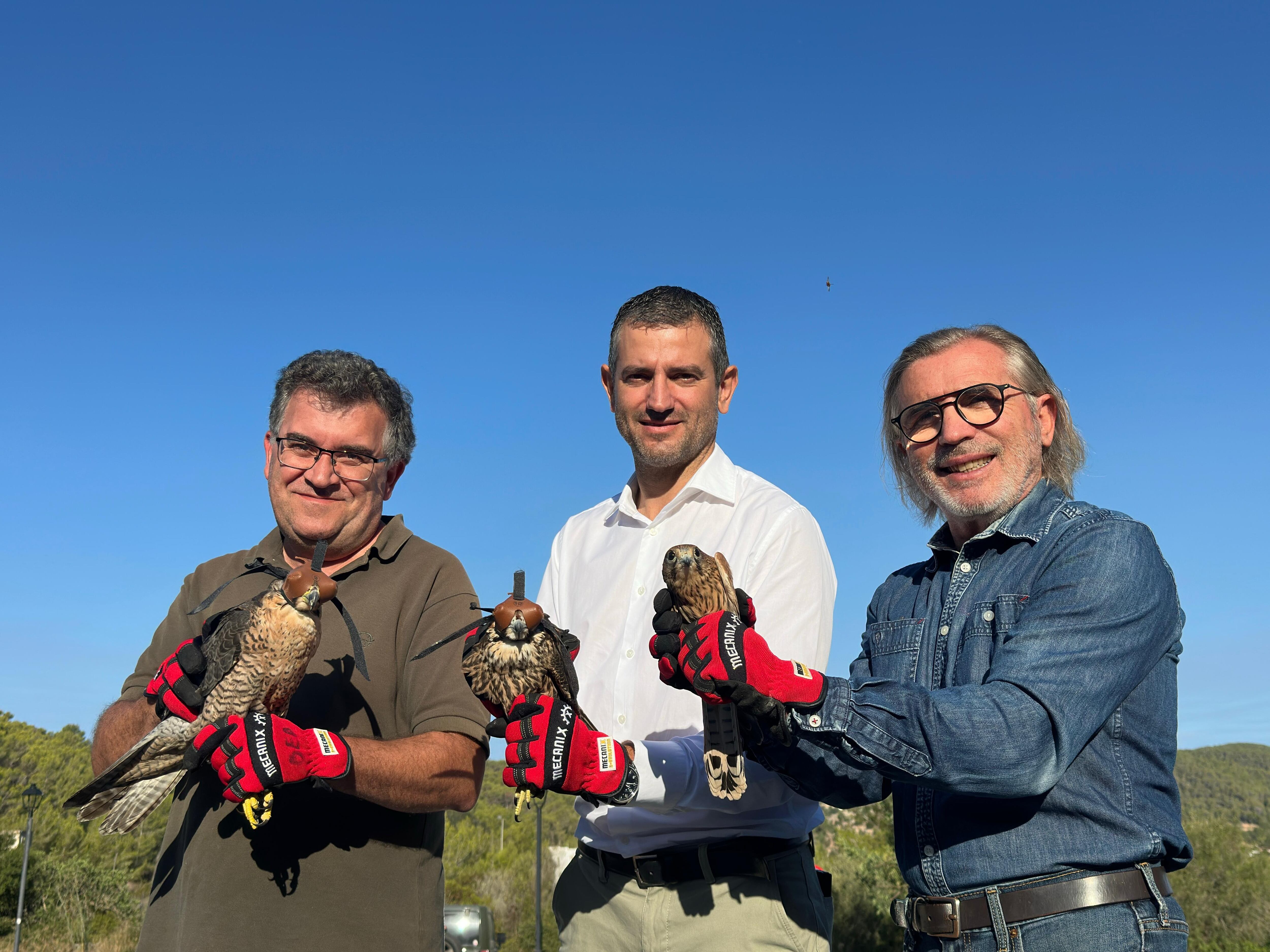 Imagen de las rapaces antes de la suelta