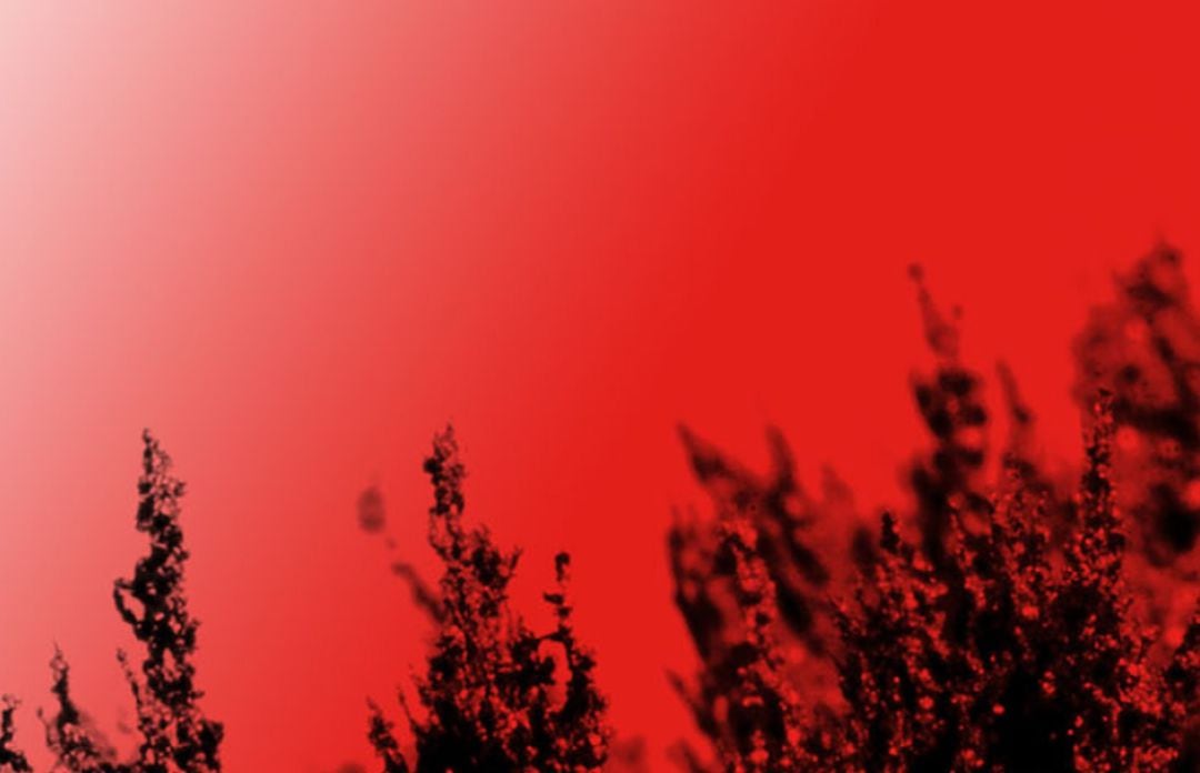 Be Digital se celebra el próximo 5 de diciembre en