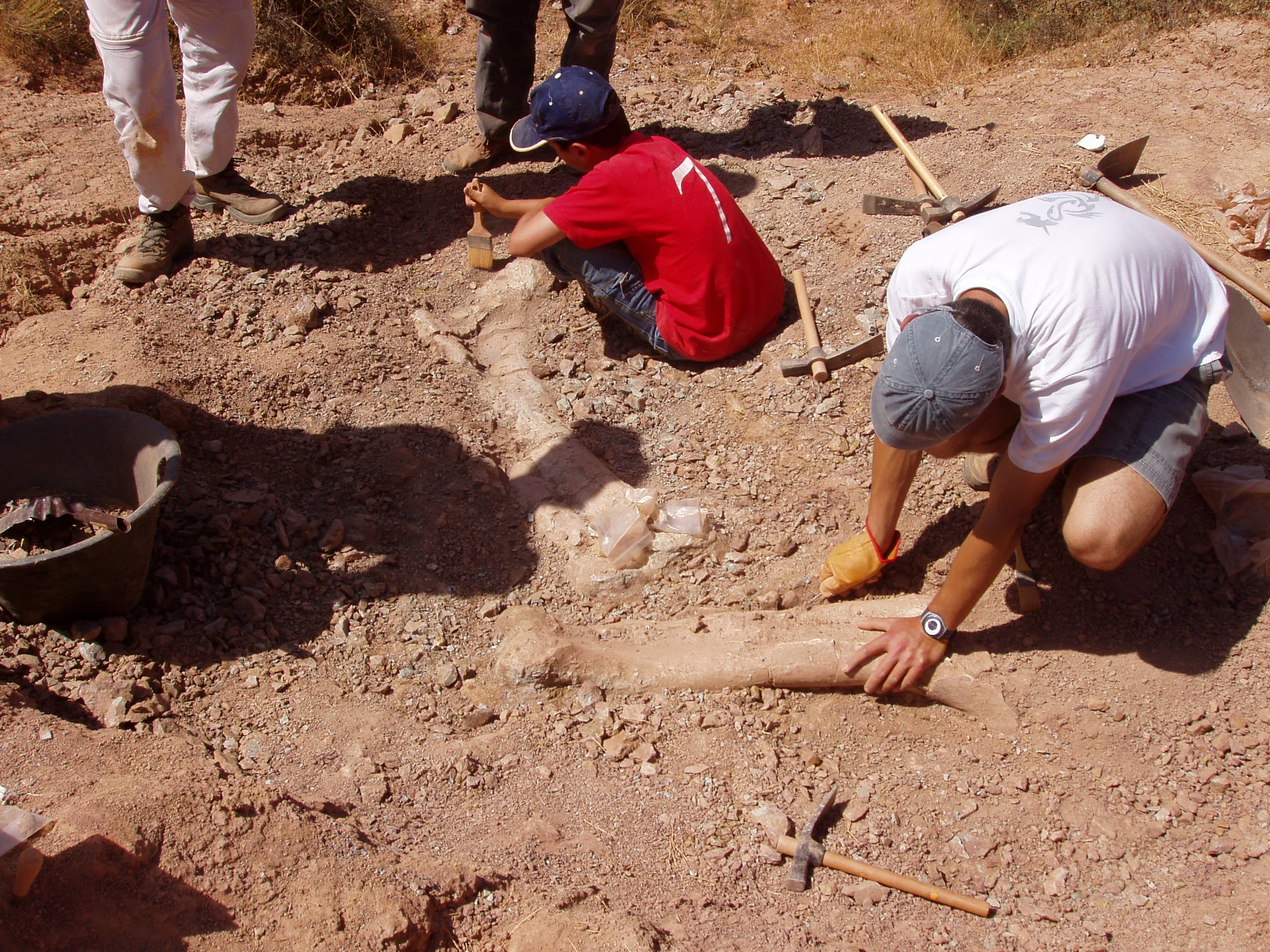 Excavación en La Tejera