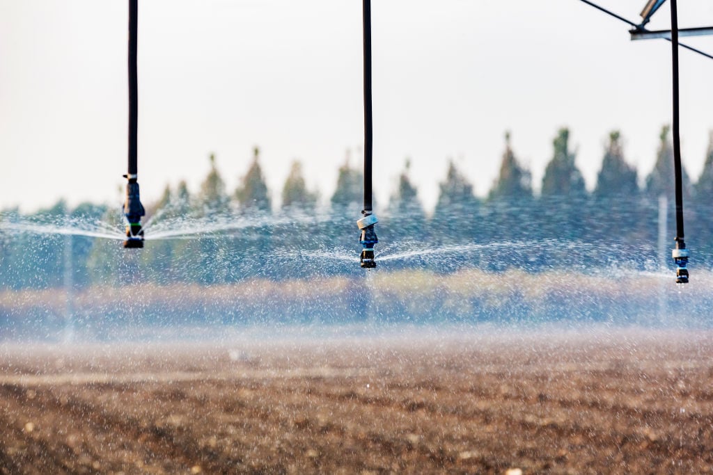 Declarada de utilidad pública y urgente ejecución la concentración parcelaria de la zona regable del Bajo Carrión