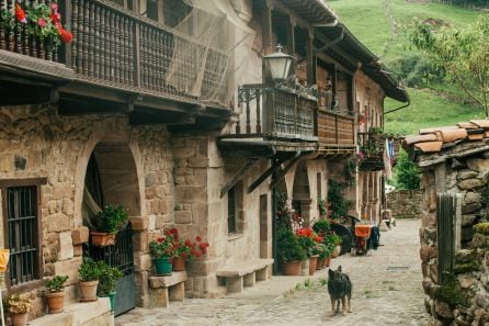 Barriada de casas en Carmona con sus caracteristicos arcos de medio punto y sus geranios