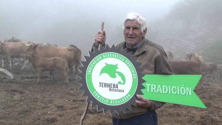La Gerente de la IGP Ternera Asturiana habla de la situación de los ganaderos ante el COVID 19