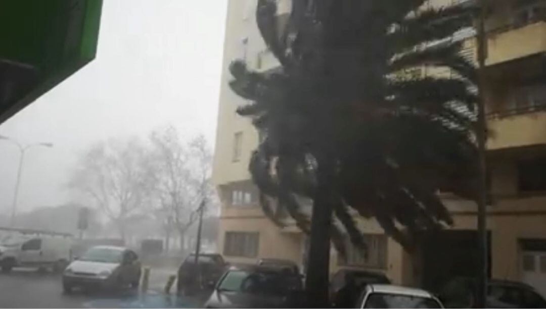 El dia 22 el vent va superar el 100 Km a diversos punts de l&#039;illa per una torbonada. 