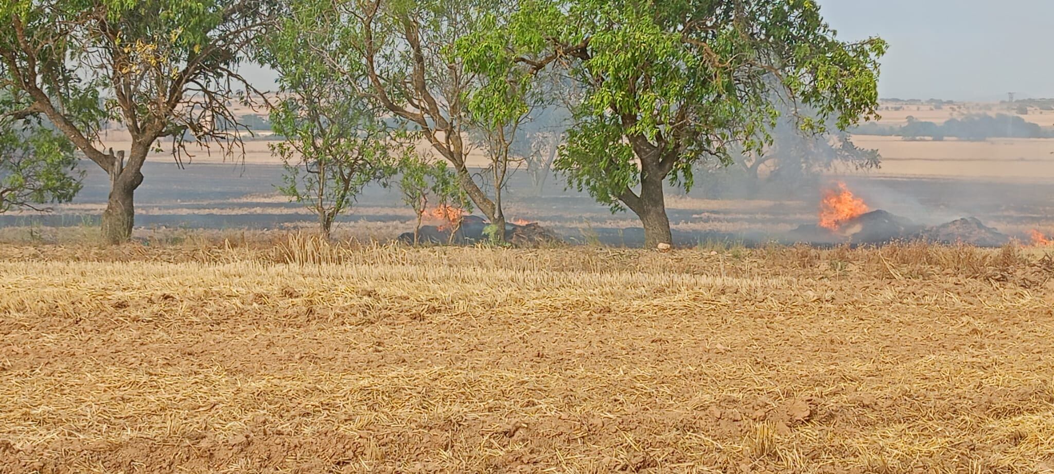 El incendio ha quemado siete hectáreas Foto: S.G.