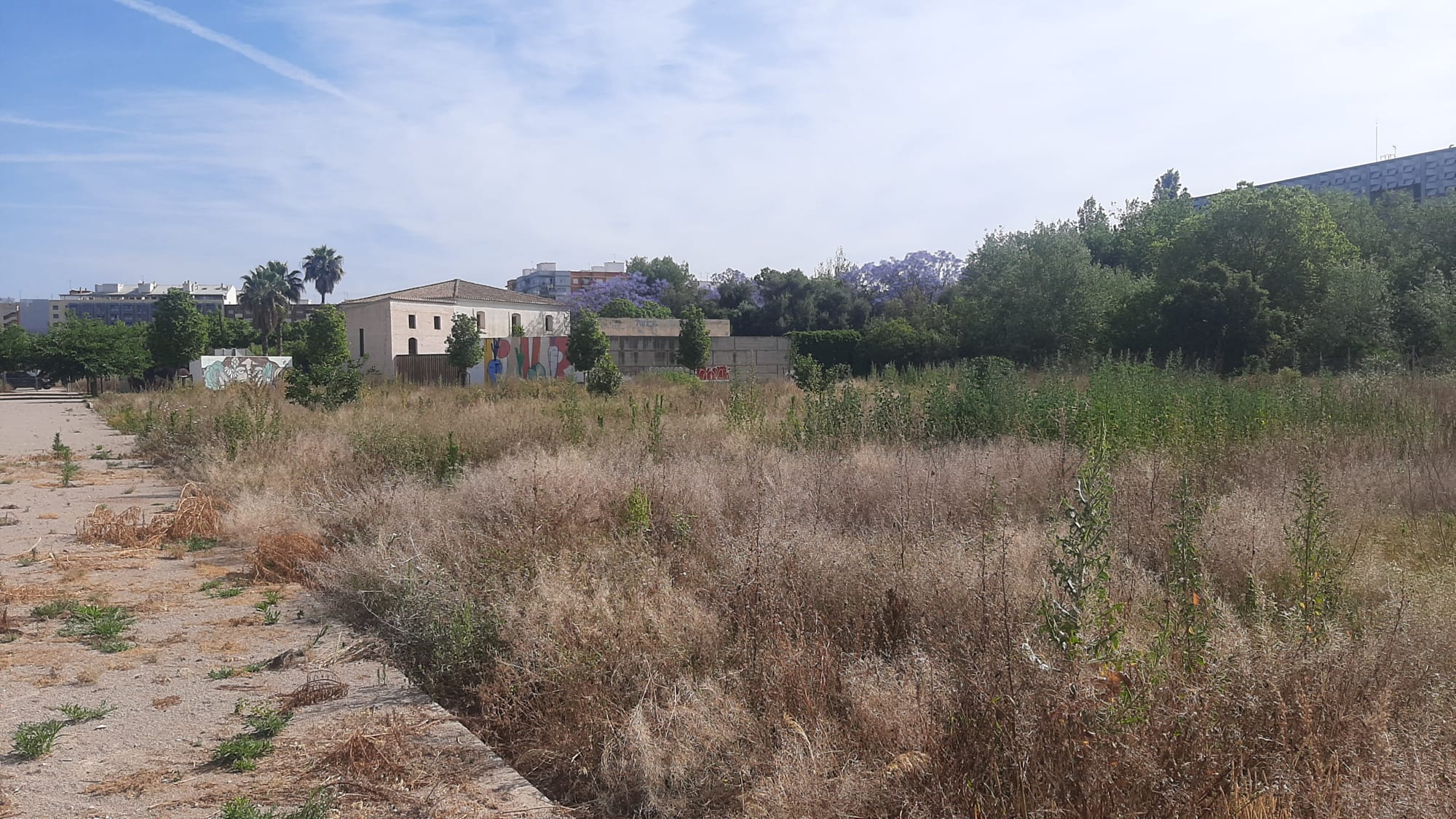 Situación actual de los huertos urbanos de La Rambleta