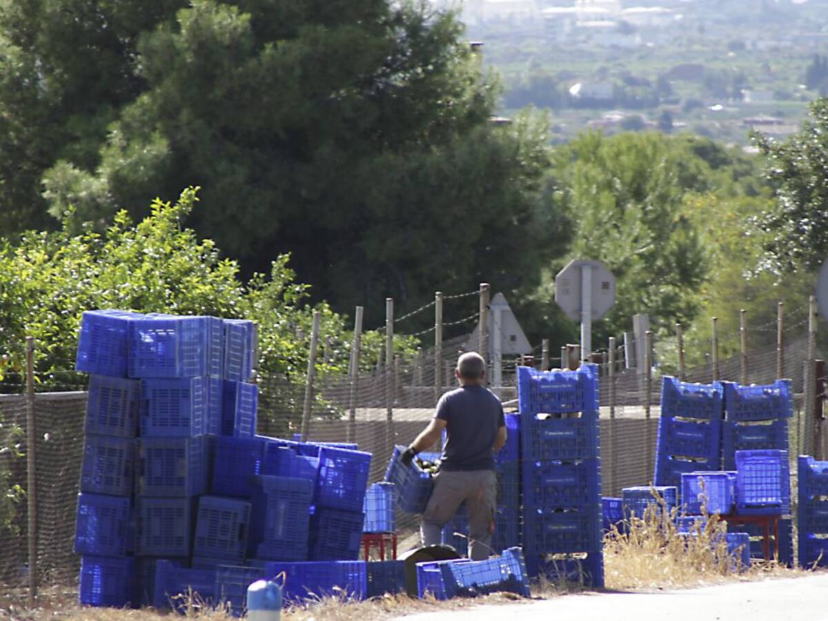 La UNIÓ de Llauradors denuncia que se producen tres robos al día en el campo