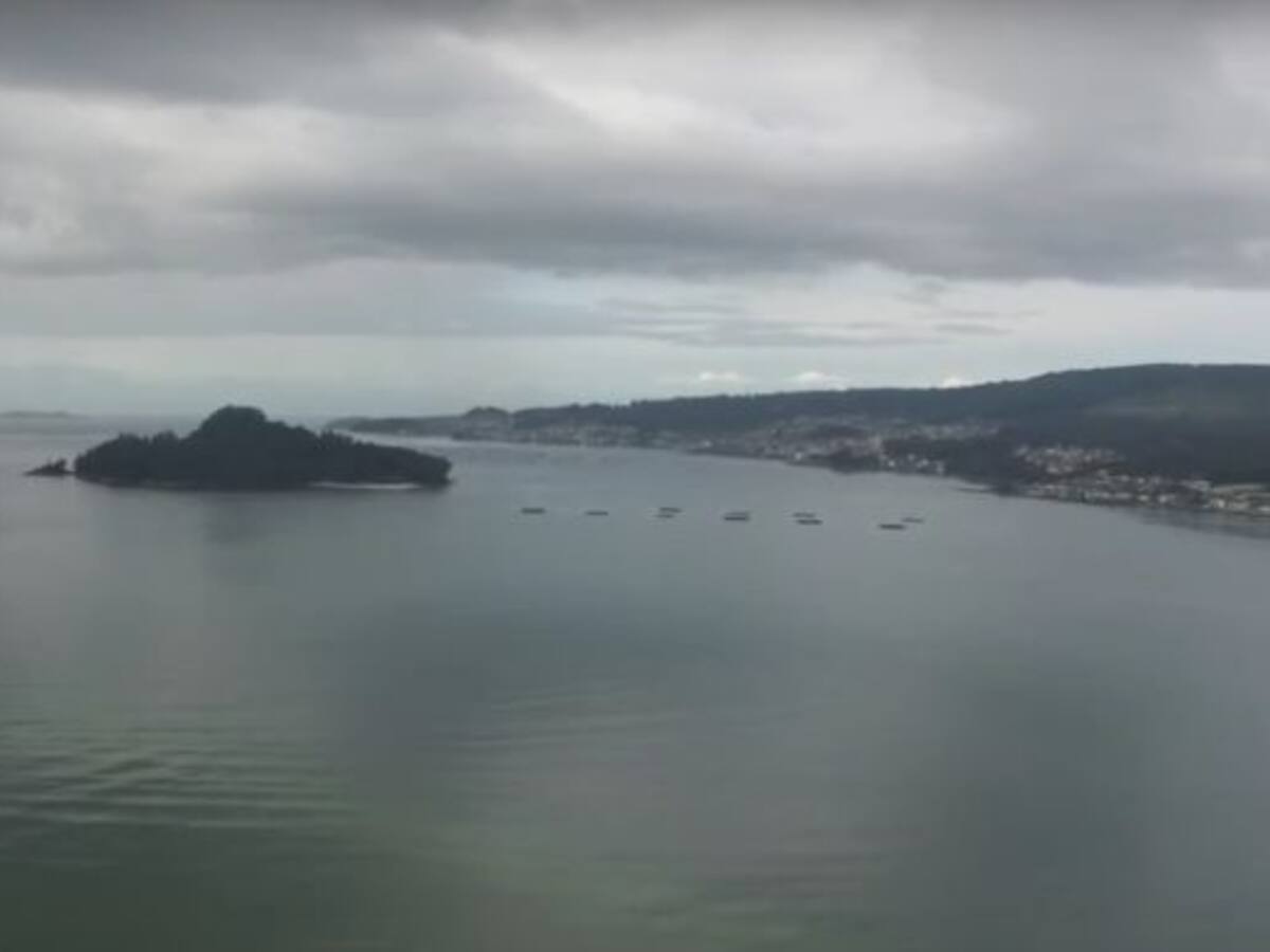 Recuperar las visitas a Tambo