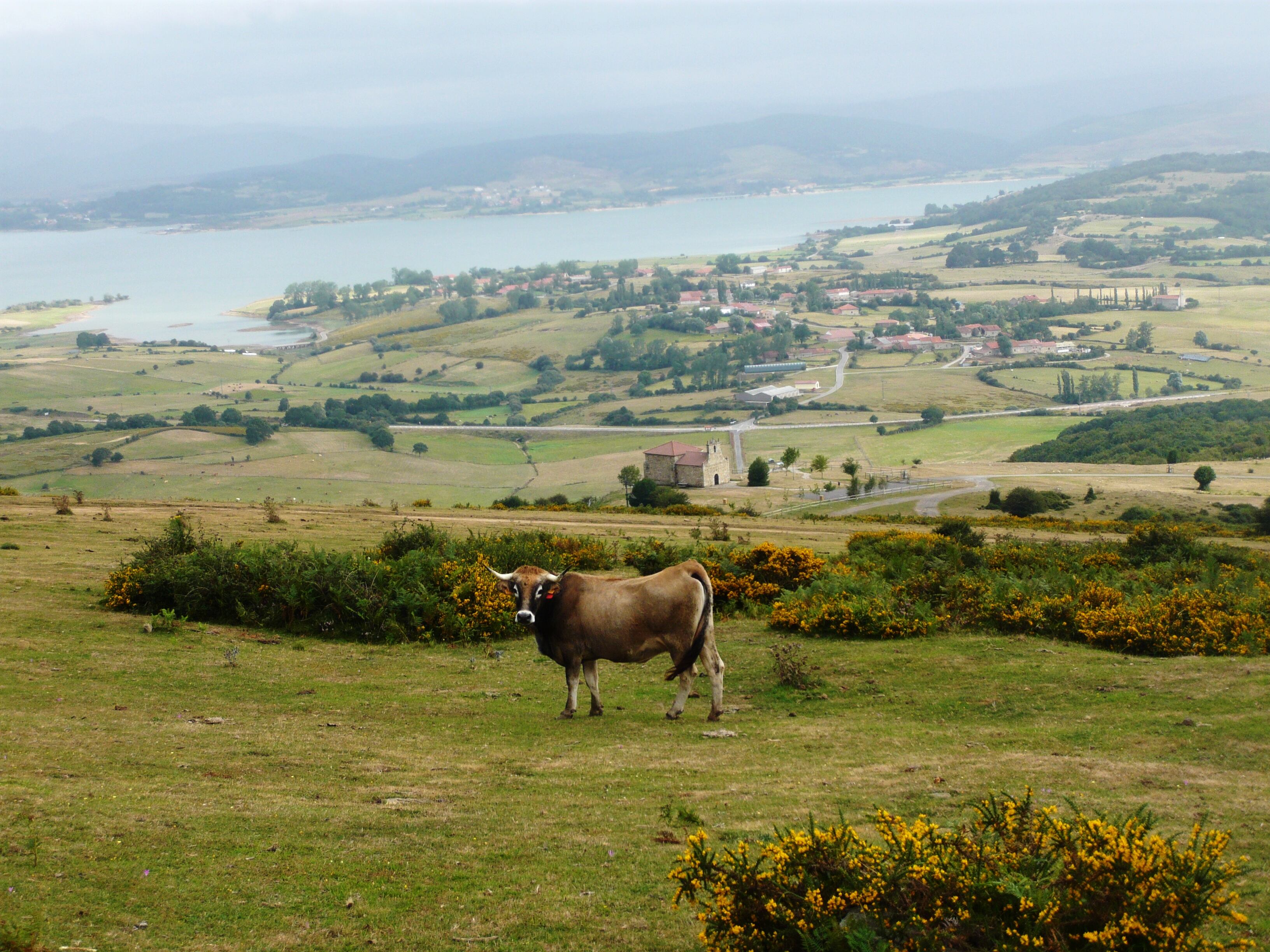 Archivo - Embalse del Ebro.