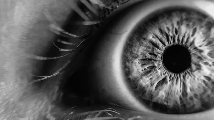 Álvaro: "Es mejor nacer ciego que ir perdiendo la vista como yo"