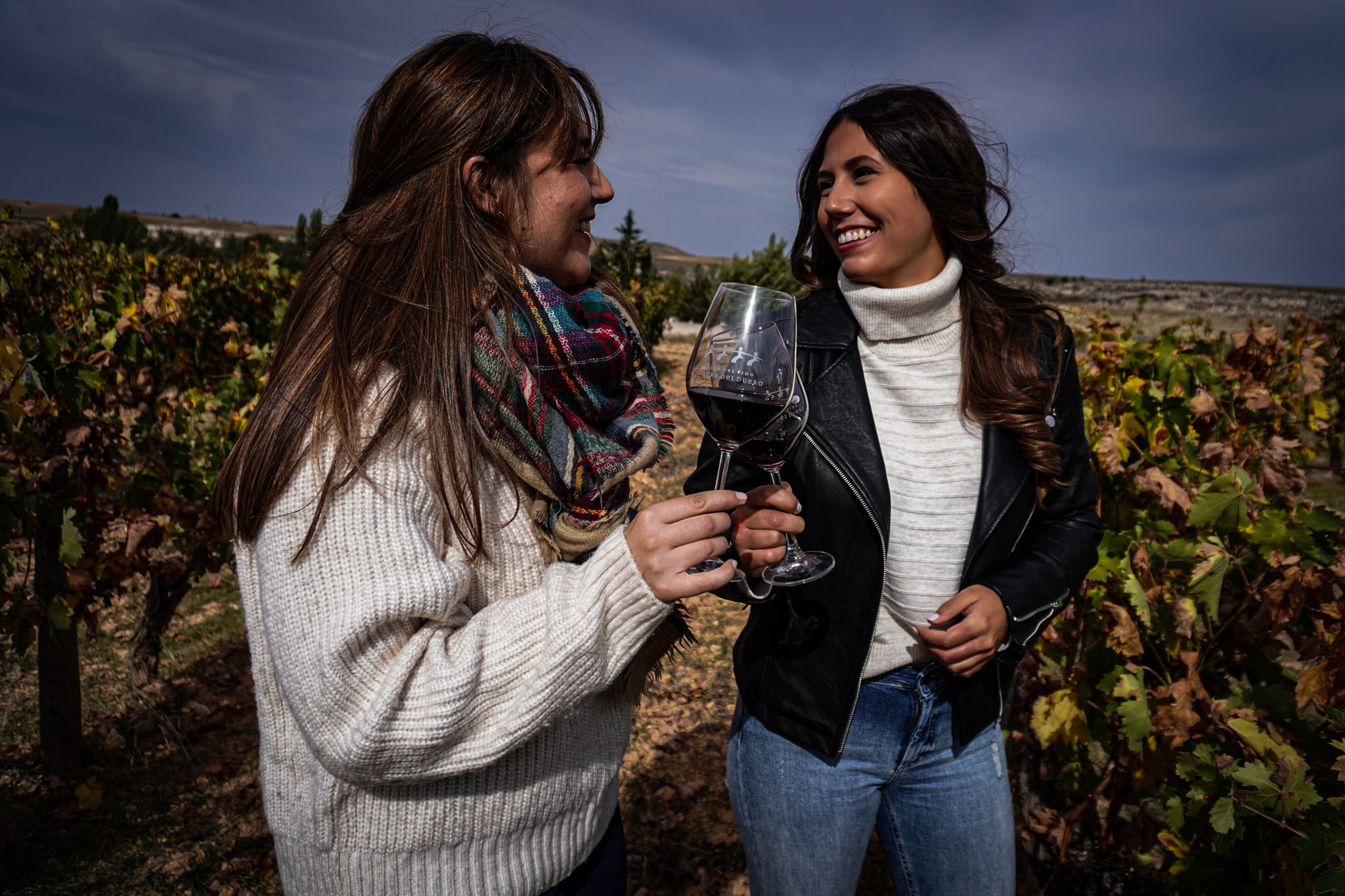 Experiencias inmersivas de Vendimia para visitantes de la Ribera del Duero