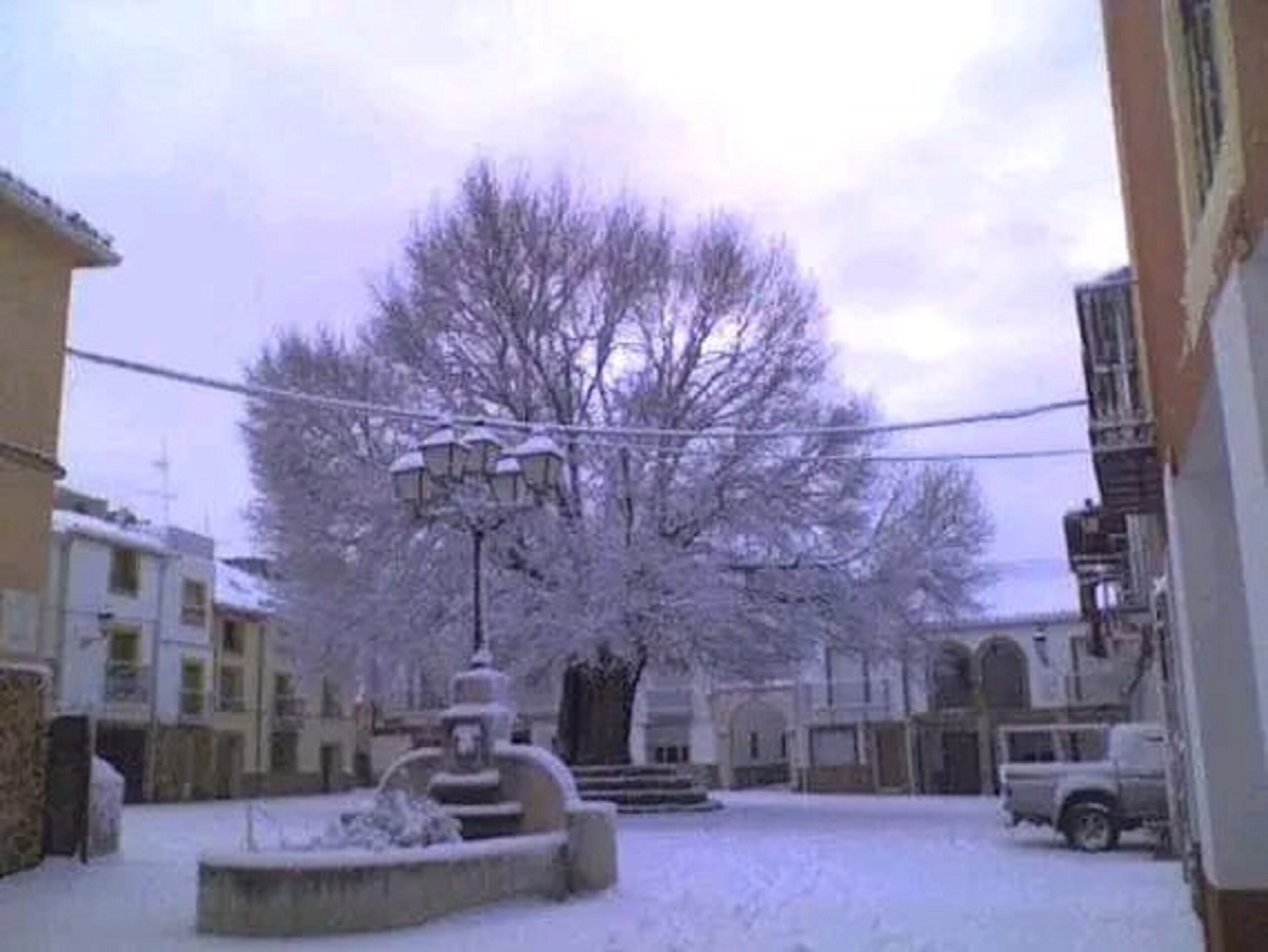 Nevada sobre el olmo centenario que presidía la plaza de Torralba (Cuenca).